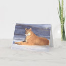 Pesquisar por pumas cartoes Cat