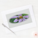 Pesquisar por calor adesivos Verão