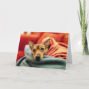Pesquisar por miniature pinscher cartoes Animal