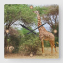 Pesquisar por girafas relogios de parede Africano