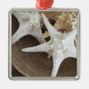 Pesquisar por estrela mar ornamentos Escudo