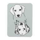 Pesquisar por dalmatian imas Cães