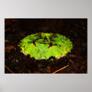 Pesquisar por suriname pôsteres Sapo