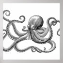 Pesquisar por ilustração científica pôsteres Vida marinha