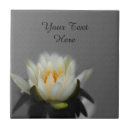 Pesquisar por lírio branco azulejos Lótus