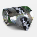 Pesquisar por cão border collie gravatas Animal