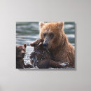 Pesquisar por pintura urso impressão de canvas Arte
