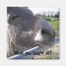 Pesquisar por mulas imas Animais