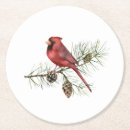 Pesquisar por cone porta copos Aquarela