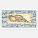 Pesquisar por translúcidos adesivos Concha