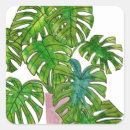 Pesquisar por plantas tropicais adesivos Botânico