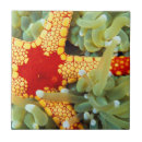 Pesquisar por estrela do mar azulejos Peixe