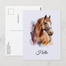 Pesquisar por cavalo ocidental cartoes postais Equino