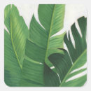Pesquisar por planta tropical adesivos Folhas