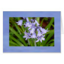 Pesquisar por flor de sino azul Primavera