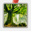 Pesquisar por tronco de árvore ornamentos Floresta