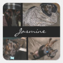 Pesquisar por cachorro papel adesivos Amante de cachorro