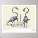 Pesquisar por paleontologia pósteres pôsteres Ciência