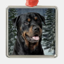 Pesquisar por rottweiler ornamentos Animais de estimação