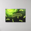 Pesquisar por repetição impressão de canvas Biologia