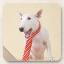 Pesquisar por bull terrier porta copos Vista dianteira