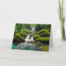 Pesquisar por moss cartoes Landscape
