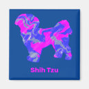 Pesquisar por cachorro quente imas Fofofo