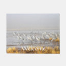 Pesquisar por wader Natureza