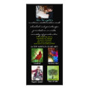 Pesquisar por fotografia panfletos Fotos