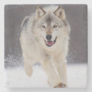 Pesquisar por wolf porta copos Natureza