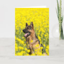 Pesquisar por dog lover cartoes Canine