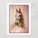 Pesquisar por sela cartoes postais Equino