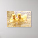 Pesquisar por patinho impressão de canvas Animais