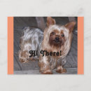 Pesquisar por yorkshire terrier cartoes postais Fofofo