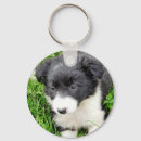 Pesquisar por border collie chaveiros Cães