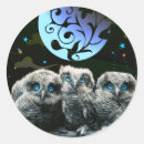 Pesquisar por coruja e lua adesivos Aves