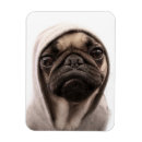 Pesquisar por hoodies imas Animal