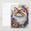 Pesquisar por gatos persas cartoes postais Himalayan