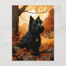 Pesquisar por scottish terrier cartoes postais Escocês