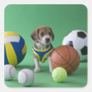 Pesquisar por bolas do esporte adesivos Fotografia