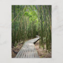 Pesquisar por bamboo cartoes postais Hawaii