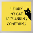 Pesquisar por joke pôsteres Cat