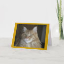 Pesquisar por casulo cartoes Animais