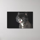 Pesquisar por poster amizade impressão de canvas Cão