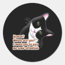 Pesquisar por gato vetor adesivos Gatos