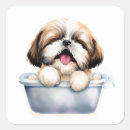 Pesquisar por shih tzu adesivos Aquarela