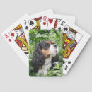 Pesquisar por king baralhos Animal