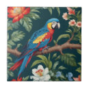 Pesquisar por papagaio tropical azulejos Tropicais