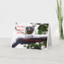 Pesquisar por nerd engraçado cartoes Humor