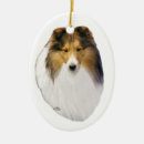 Pesquisar por shetland sheepdog sheltie ornamentos Cães